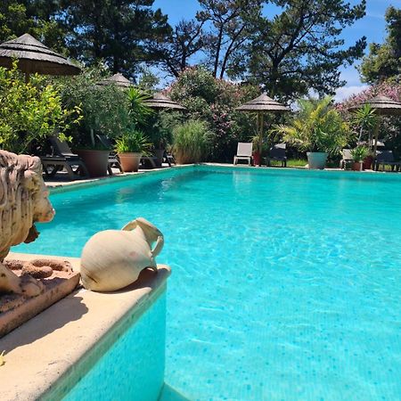 Relais De Bravone Apartment Linguizzetta Ngoại thất bức ảnh
