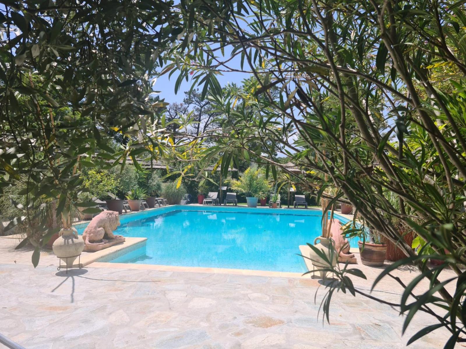 Relais De Bravone Apartment Linguizzetta Ngoại thất bức ảnh