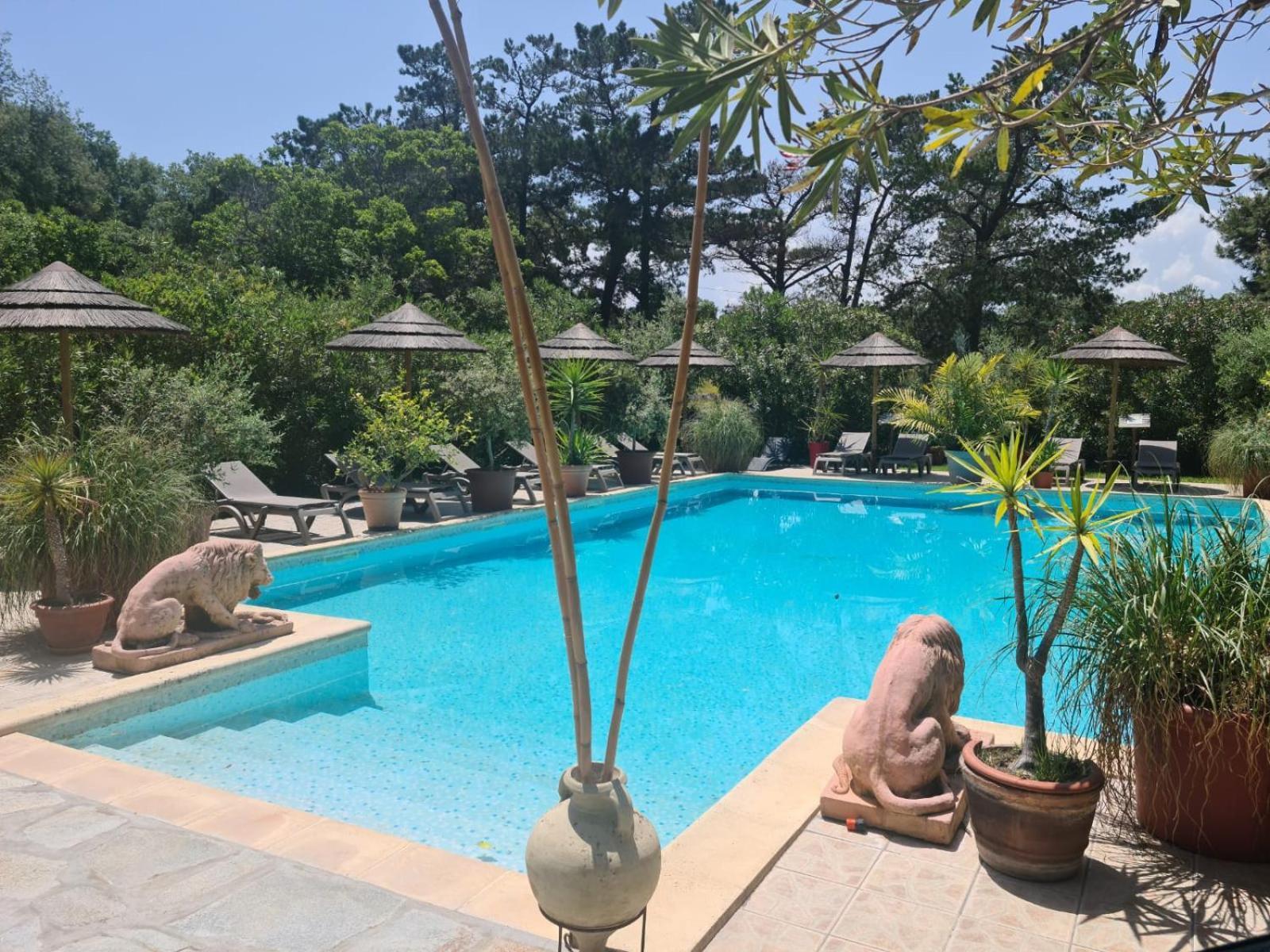 Relais De Bravone Apartment Linguizzetta Ngoại thất bức ảnh